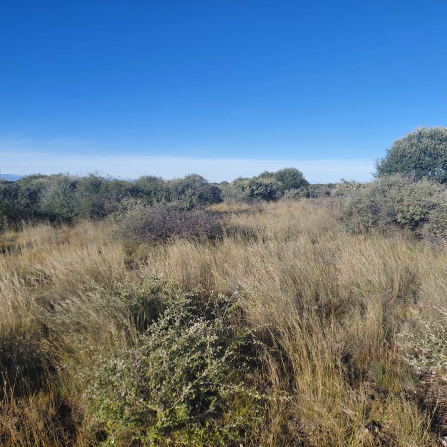 Commercial Property for Sale in Barkly West Rural Northern Cape